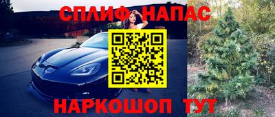 гидра Пенза
