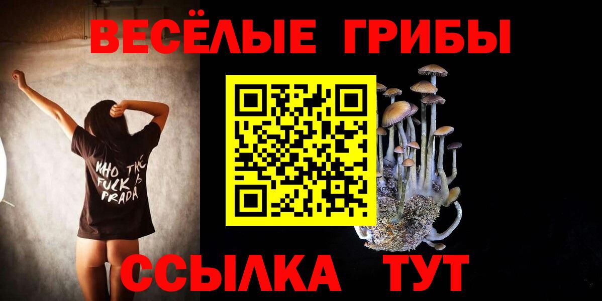 купить  цена  Псилоцибиновые грибы прущие грибы  Серов  Вход с VPN  Псилоцибиновые грибы GOLDEN TEACHER 